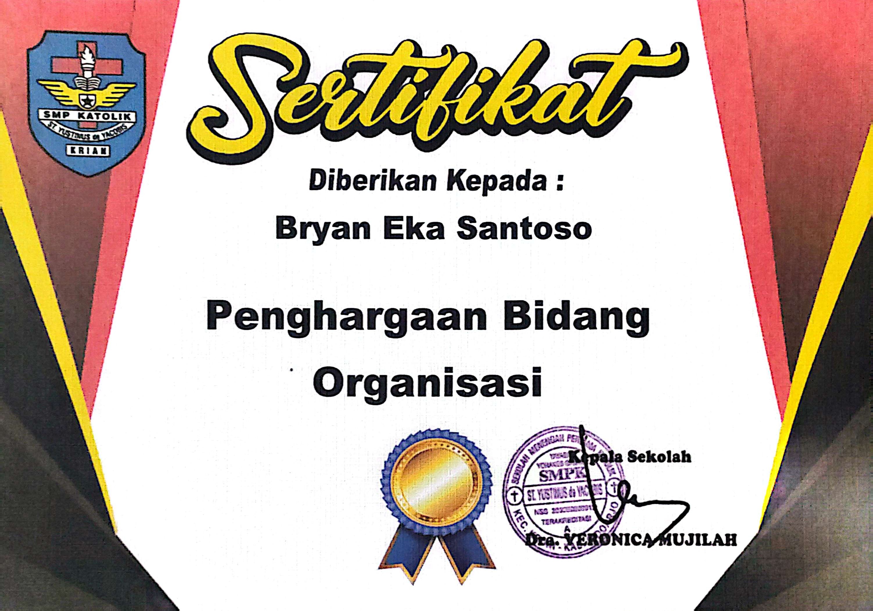 organisasi
